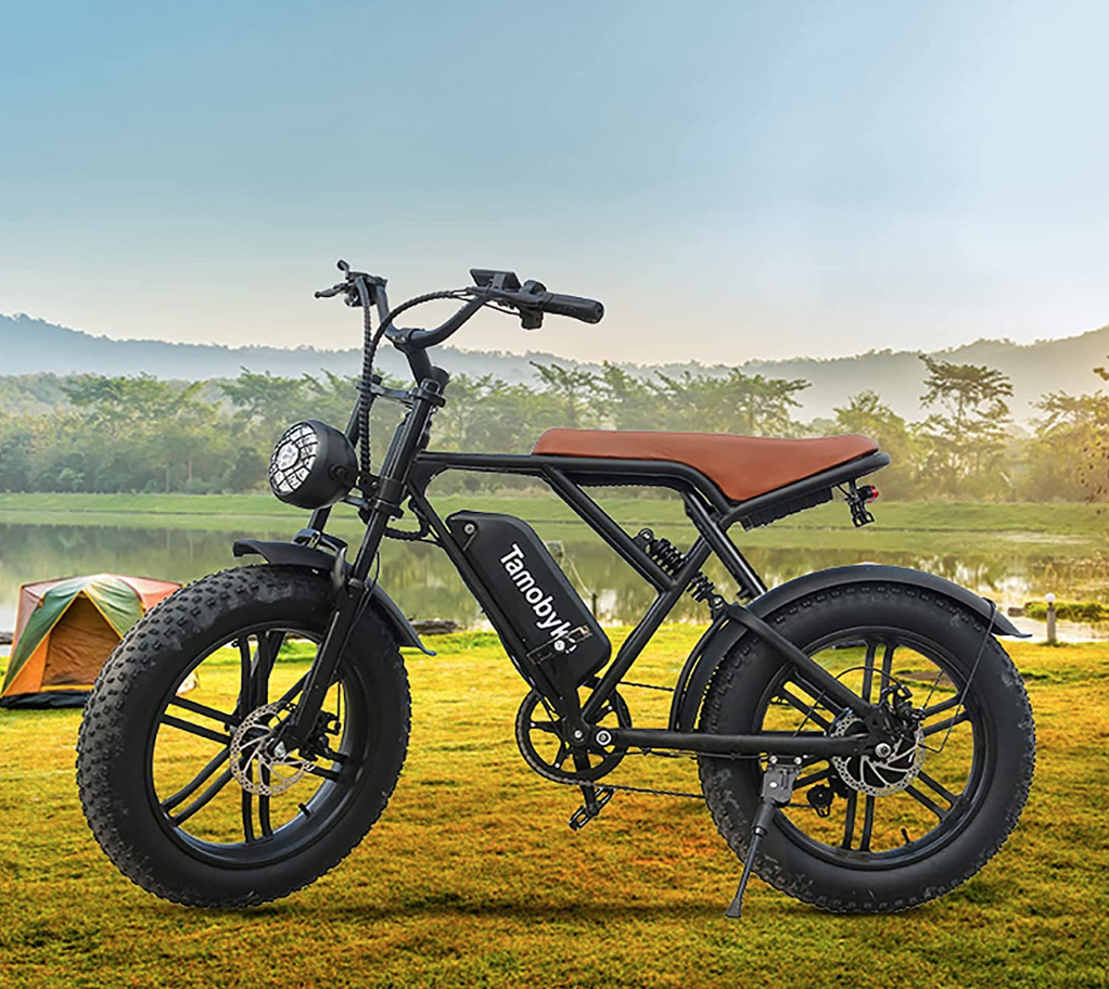 Electric Bikes – Are You a Hater?